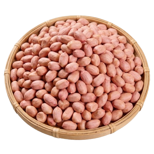 Peanut Tj37
